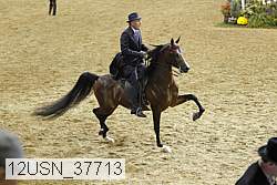 12usn_37713 proof