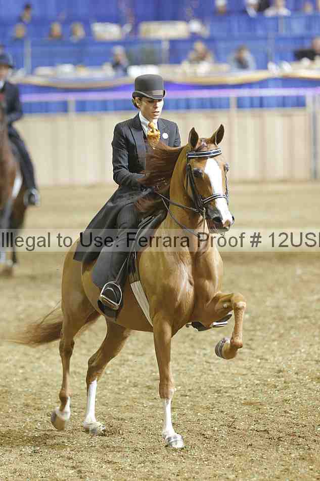 Proof 12usn_37723