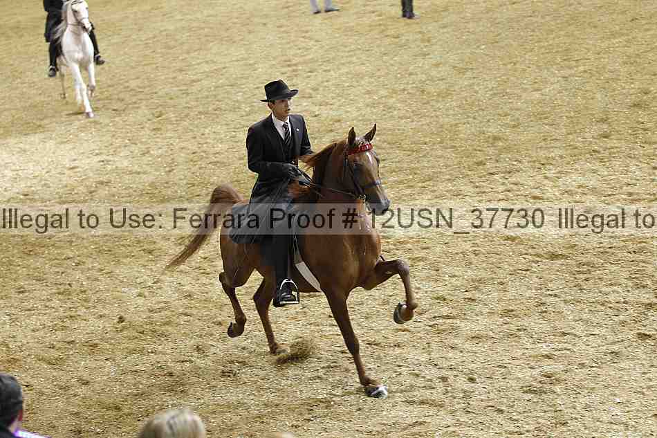 Proof 12usn_37730
