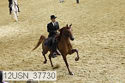 12usn_37730 proof