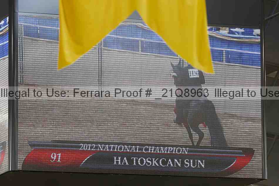 Proof _21q8963