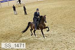 _ss_1471 proof