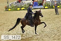 _ss_1472 proof