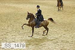 _ss_1479 proof