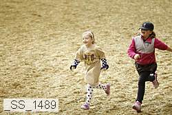 _ss_1489 proof