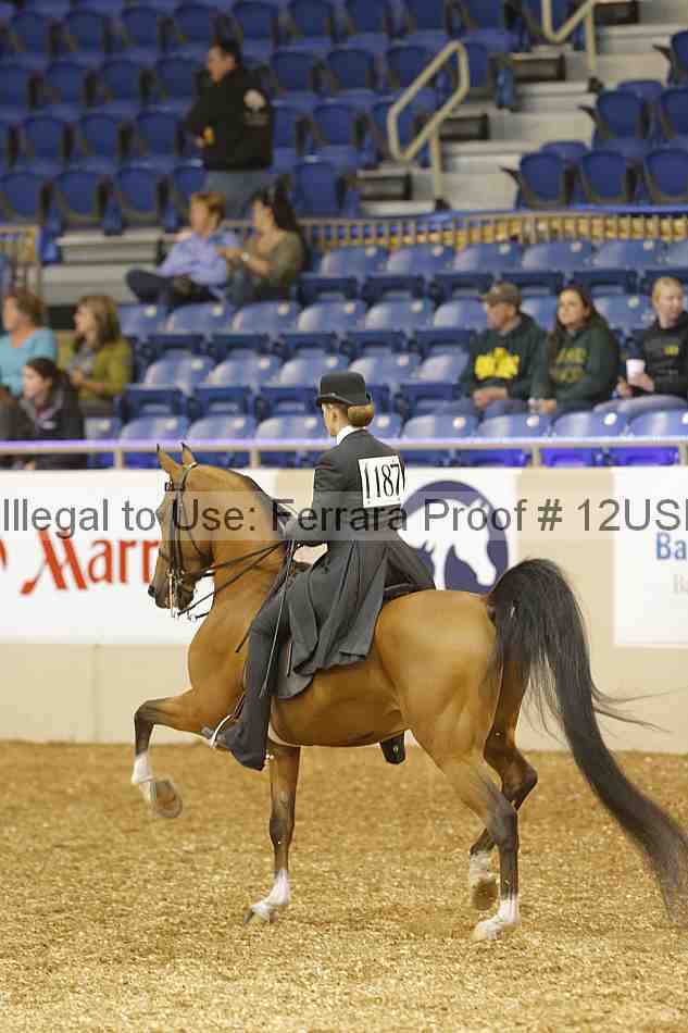 Proof 12usn_00295