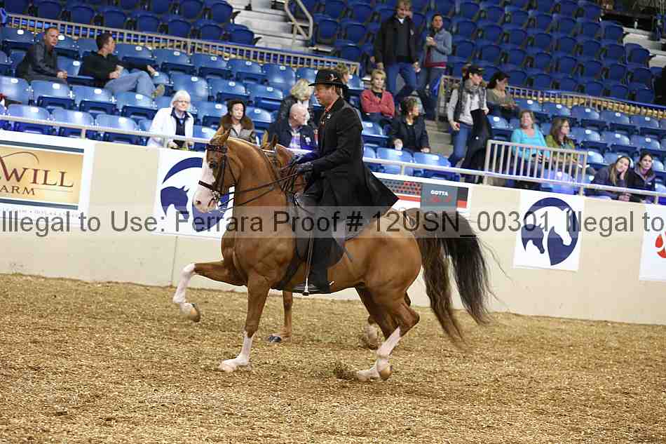 Proof 12usn_00301