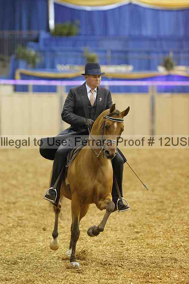 Proof 12usn_00302