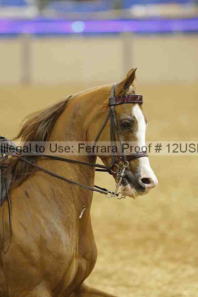 Proof 12usn_00311