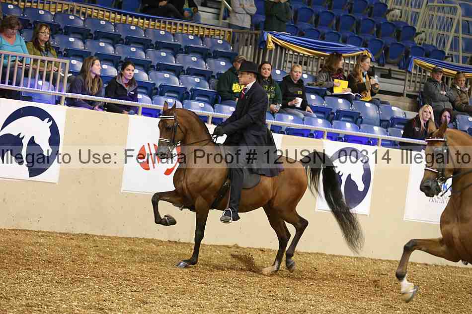Proof 12usn_00314