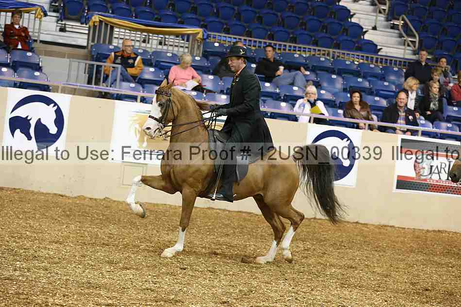 Proof 12usn_00339