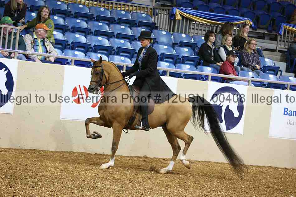 Proof 12usn_00408