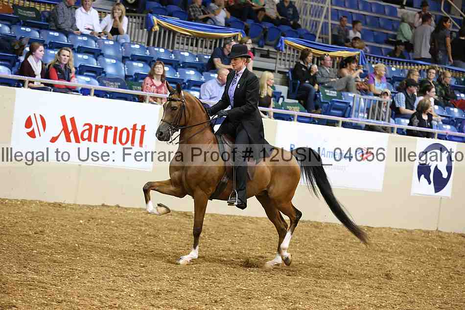 Proof 12usn_04056