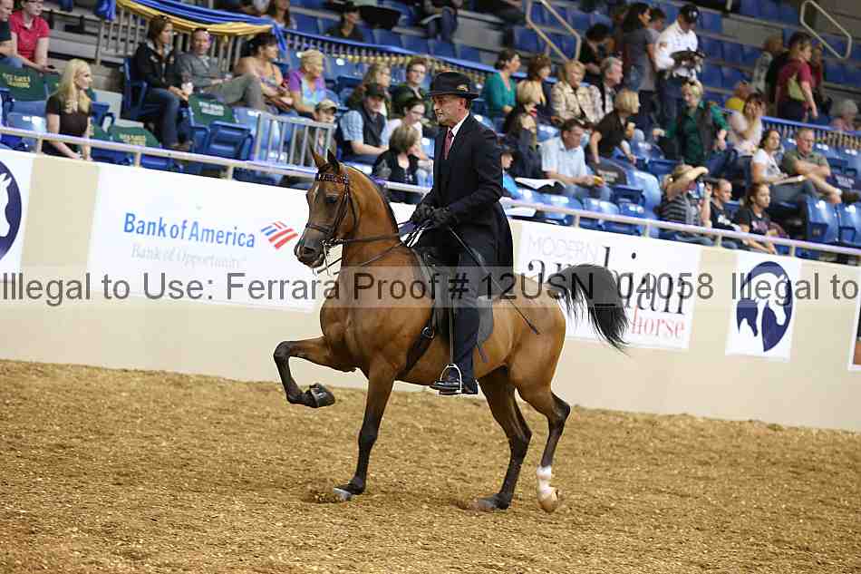 Proof 12usn_04058
