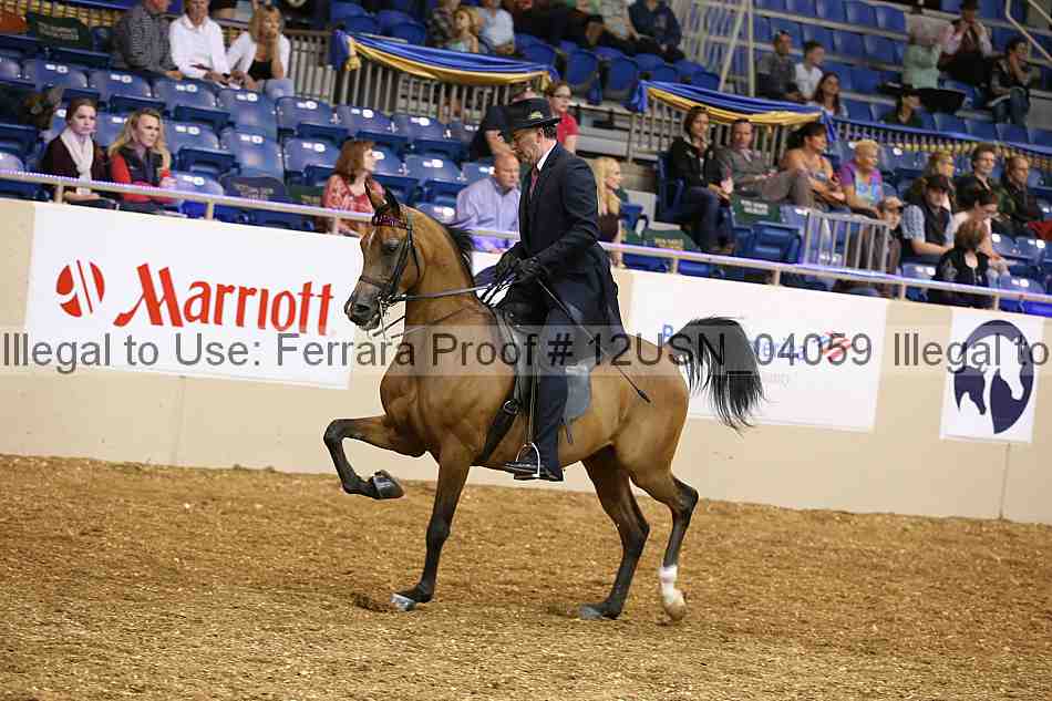 Proof 12usn_04059