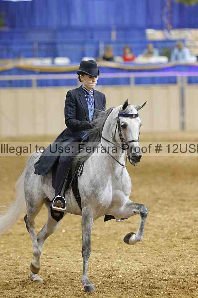 Proof 12usn_04068