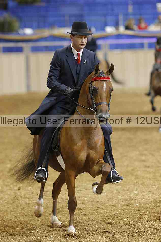 Proof 12usn_04078