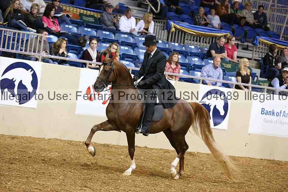 Proof 12usn_04089
