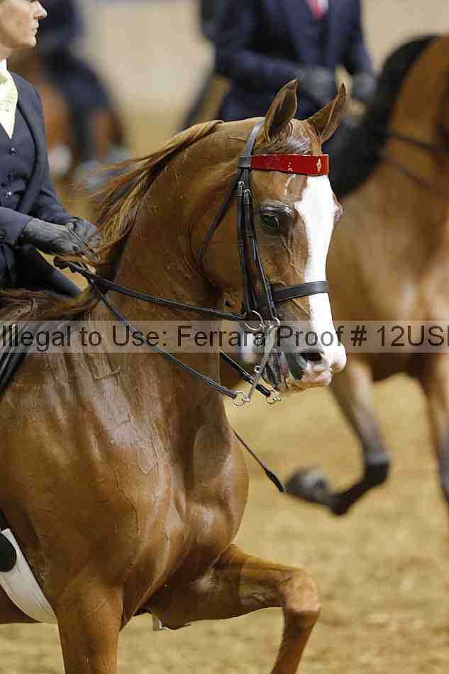 Proof 12usn_04090