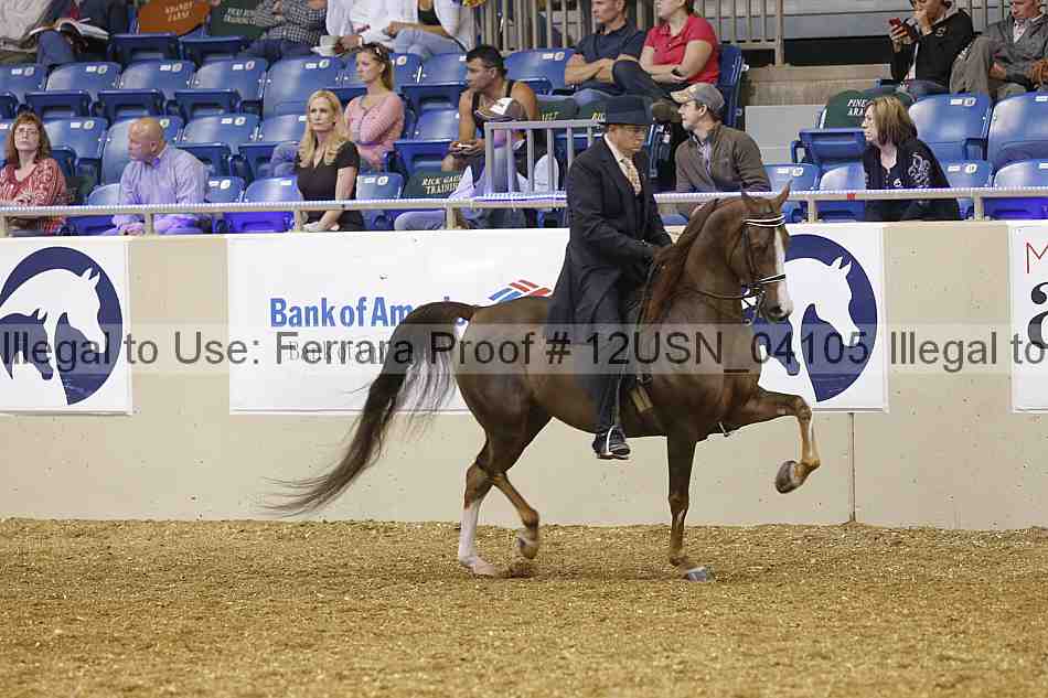 Proof 12usn_04105
