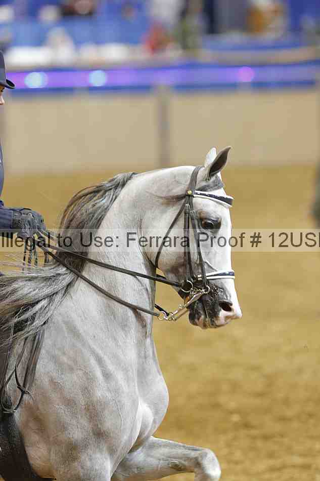 Proof 12usn_04153