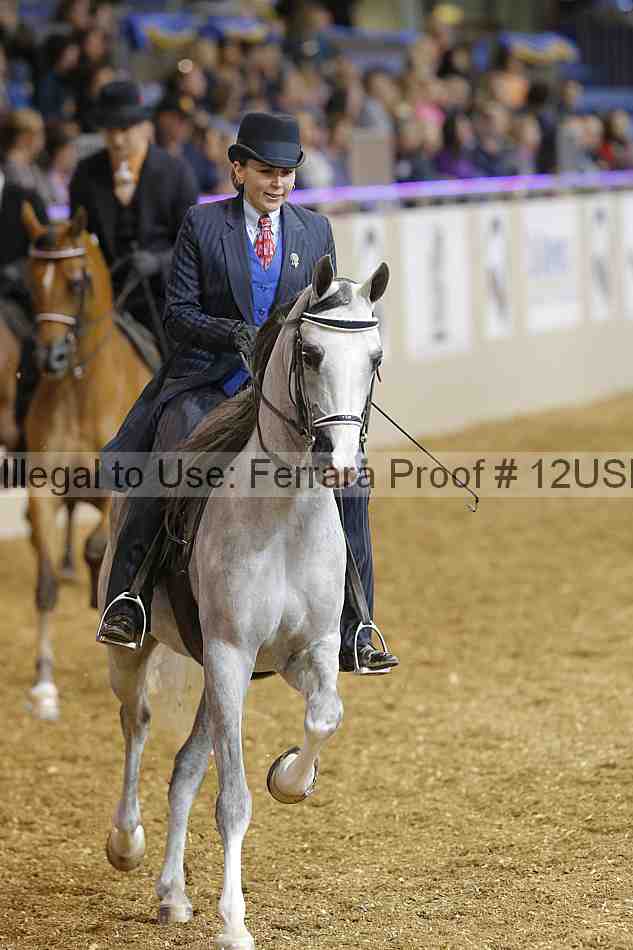 Proof 12usn_04162