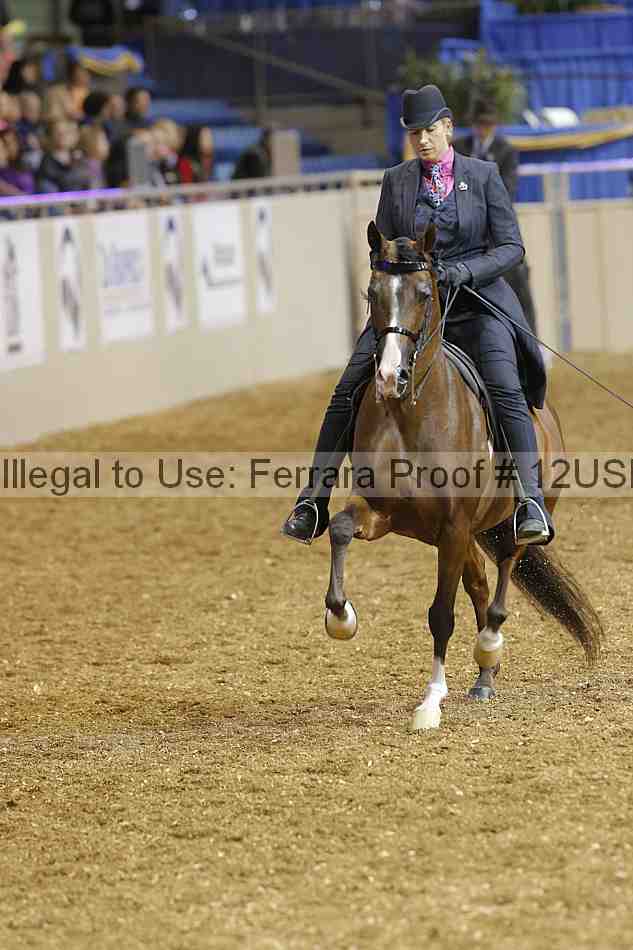 Proof 12usn_04169