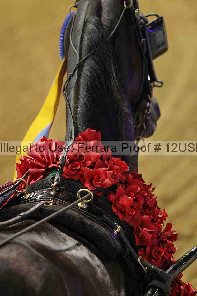 Proof 12usn_12403