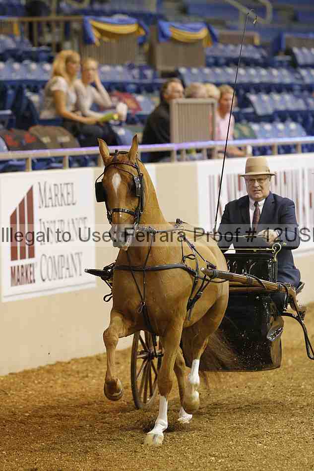 Proof 12usn_05511