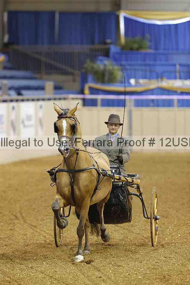 Proof 12usn_05537