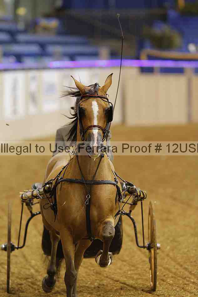 Proof 12usn_05538
