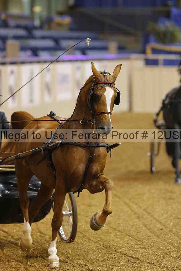 Proof 12usn_05540