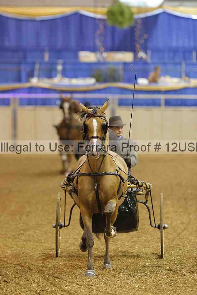 Proof 12usn_05549