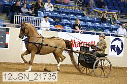 12usn_21735 proof