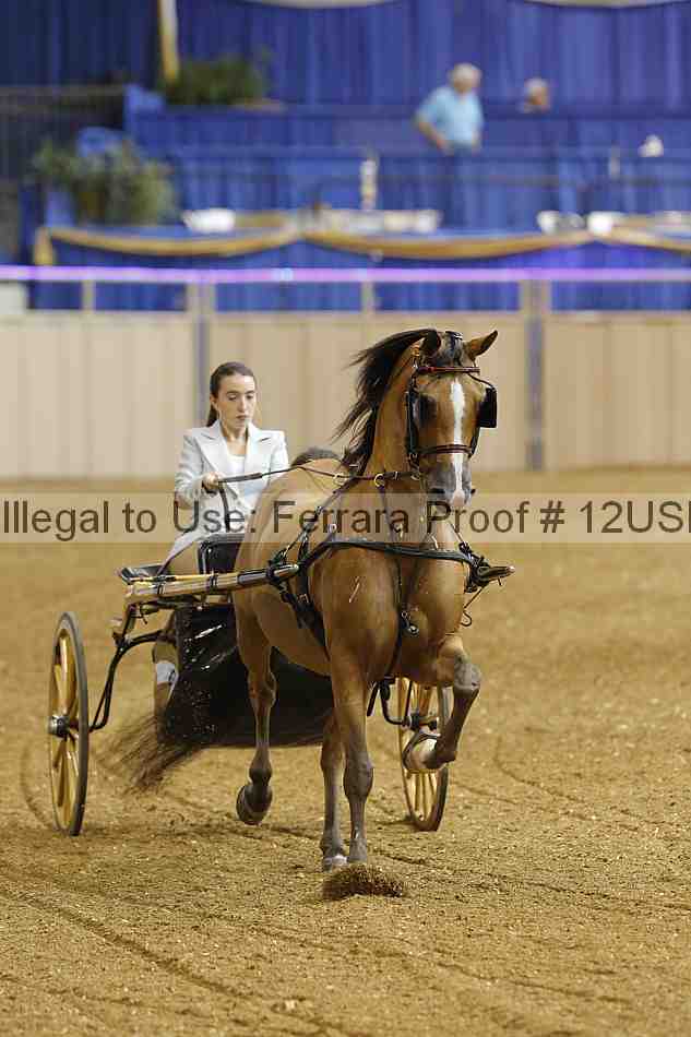 Proof 12usn_21737