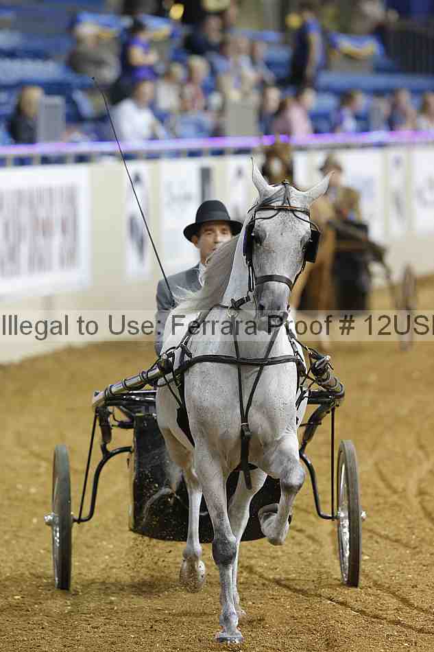 Proof 12usn_21743
