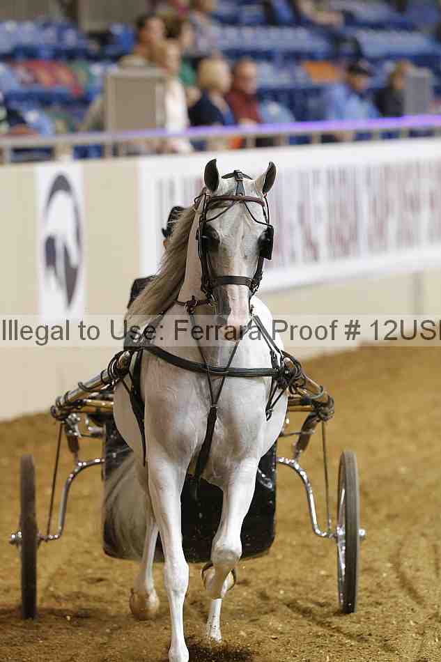 Proof 12usn_21759