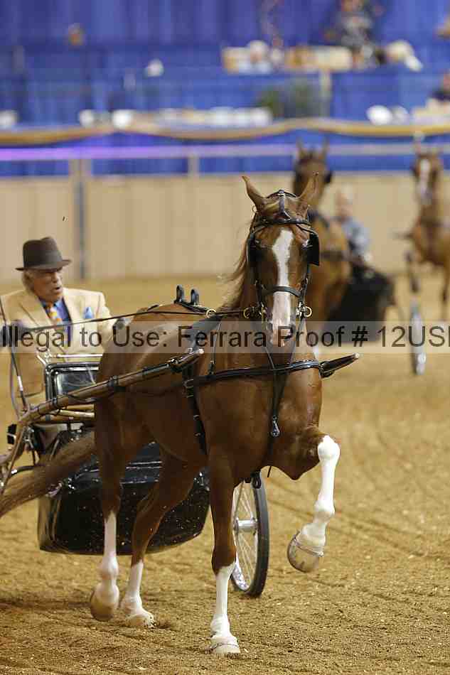 Proof 12usn_21763