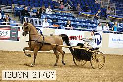 12usn_21768 proof