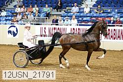 12usn_21791 proof