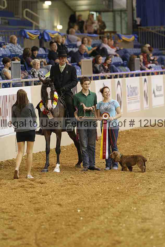 Proof 12usn_18272