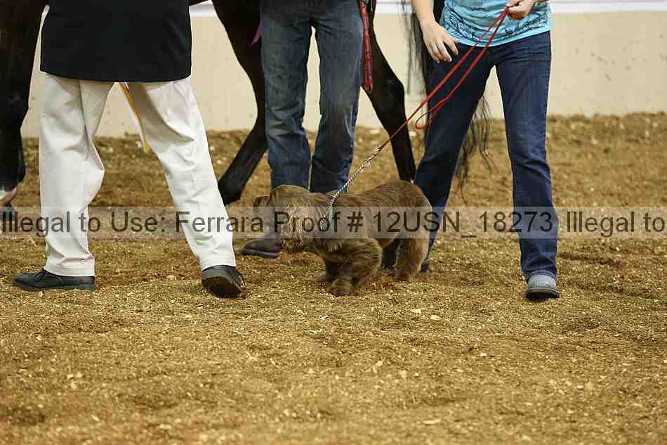 Proof 12usn_18273