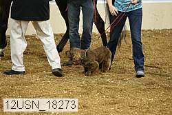 12usn_18273 proof