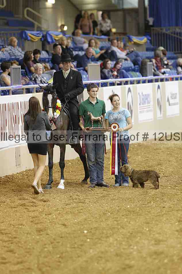 Proof 12usn_18274