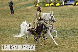 12usn_34438 proof