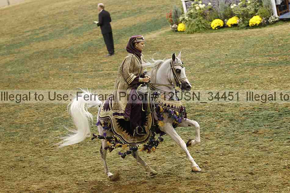 Proof 12usn_34451