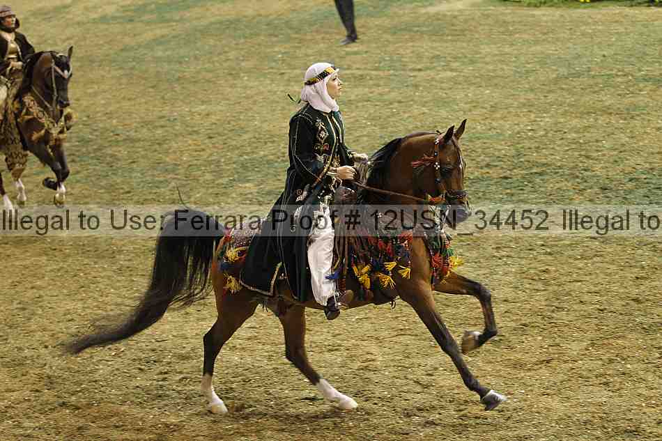 Proof 12usn_34452