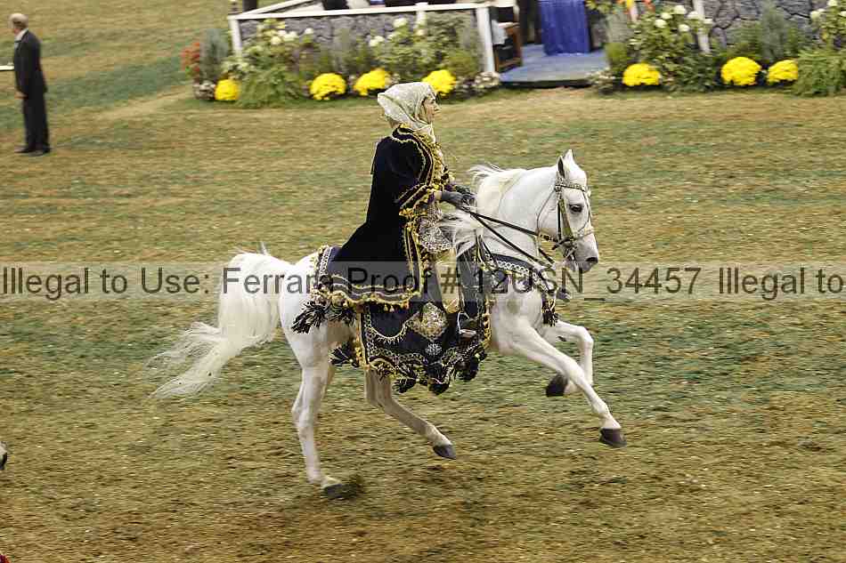 Proof 12usn_34457
