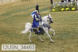 12usn_34463 proof