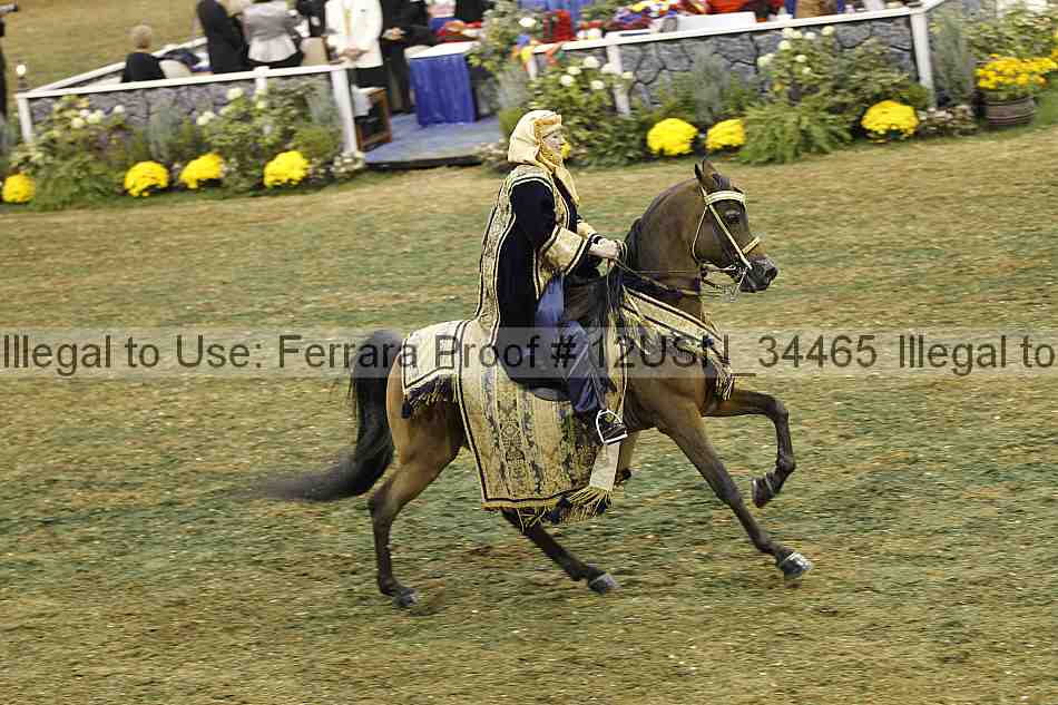 Proof 12usn_34465